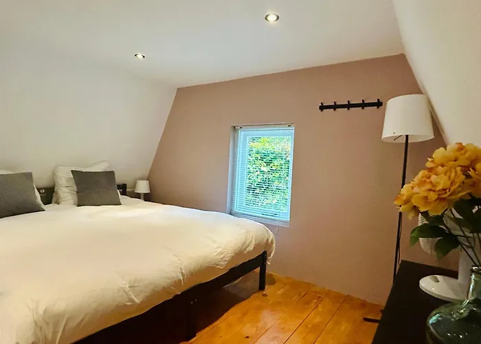 B&B In de aap gelogeerd