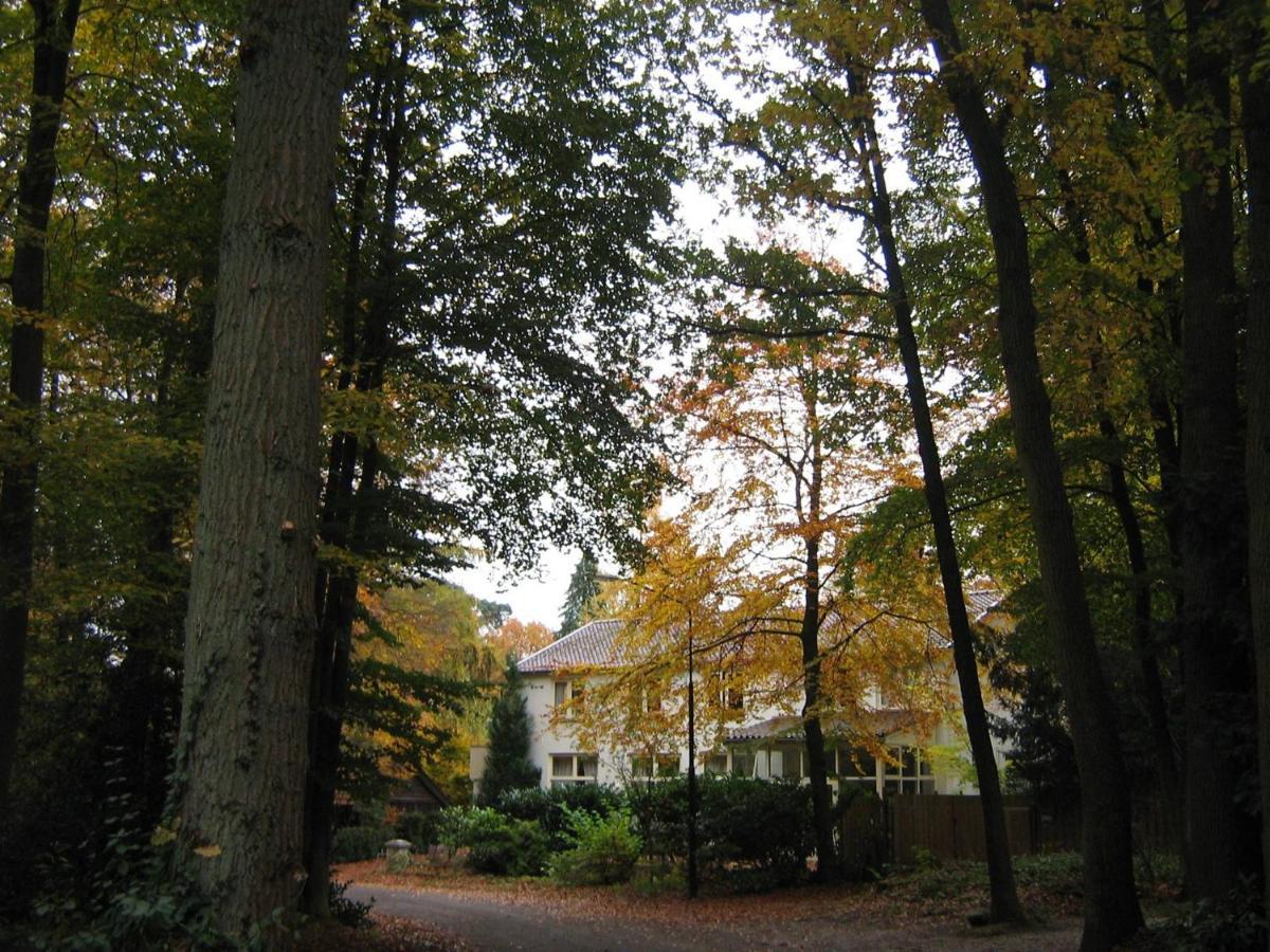 Bed & Breakfast In De Aap Gelogeerd *