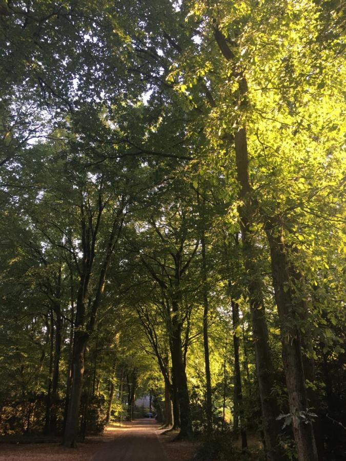 In De Aap Gelogeerd Apeldoorn