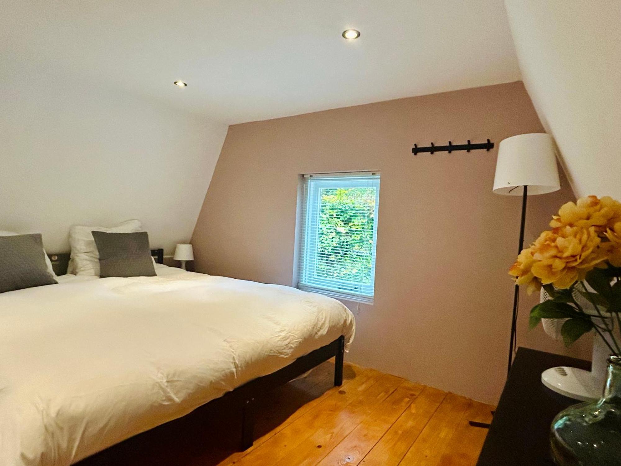 Bed & Breakfast In De Aap Gelogeerd *